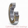 110 mm x 170 mm x 45 mm  SIGMA NCF 3022 V cylindrical roller bearings