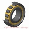 AST N205 cylindrical roller bearings