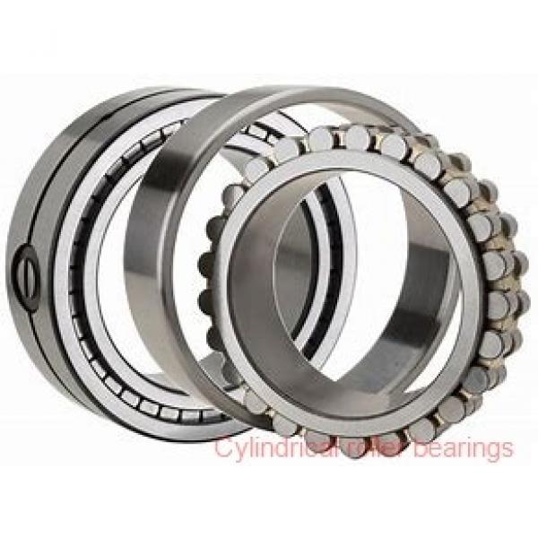 75 mm x 130 mm x 31 mm  NKE NU2215-E-MA6 cylindrical roller bearings #2 image